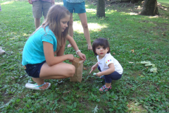 b3382ecdf705de4288c949d315d9d2ba